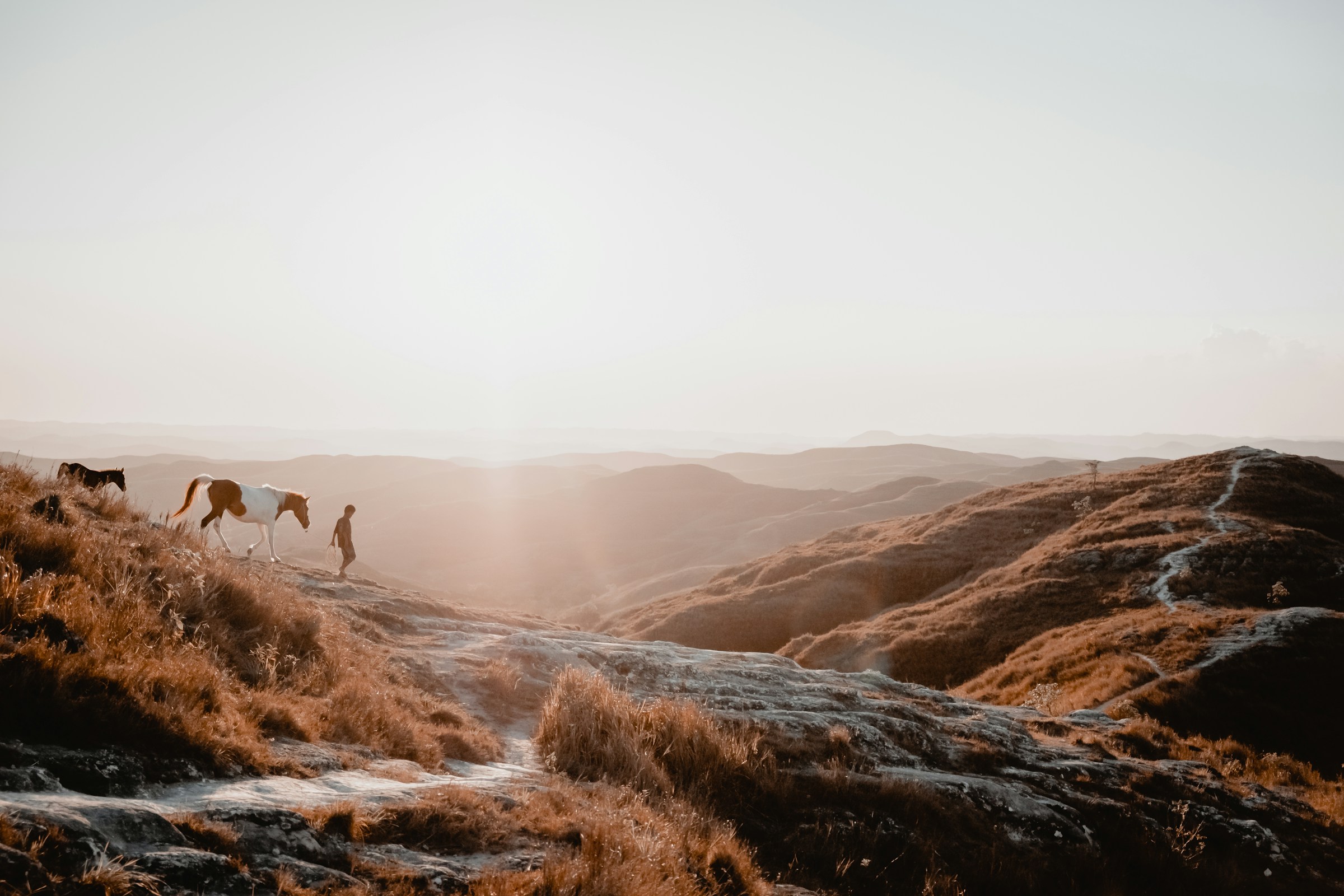 febiyan-hYFt6InTIKE-unsplash