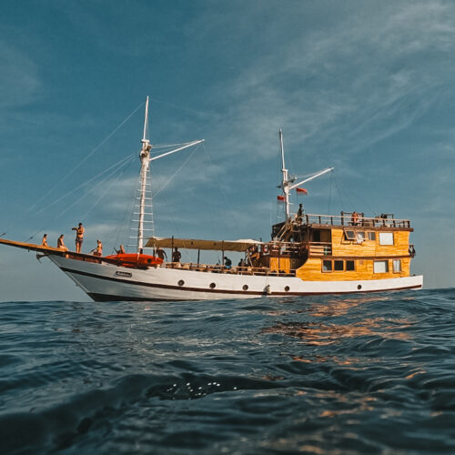3D2N Komodo Sailing Trip | Comfortable Semi-Deluxe Phinisi | Solo Traveler Friendly | ANDALUCIA 