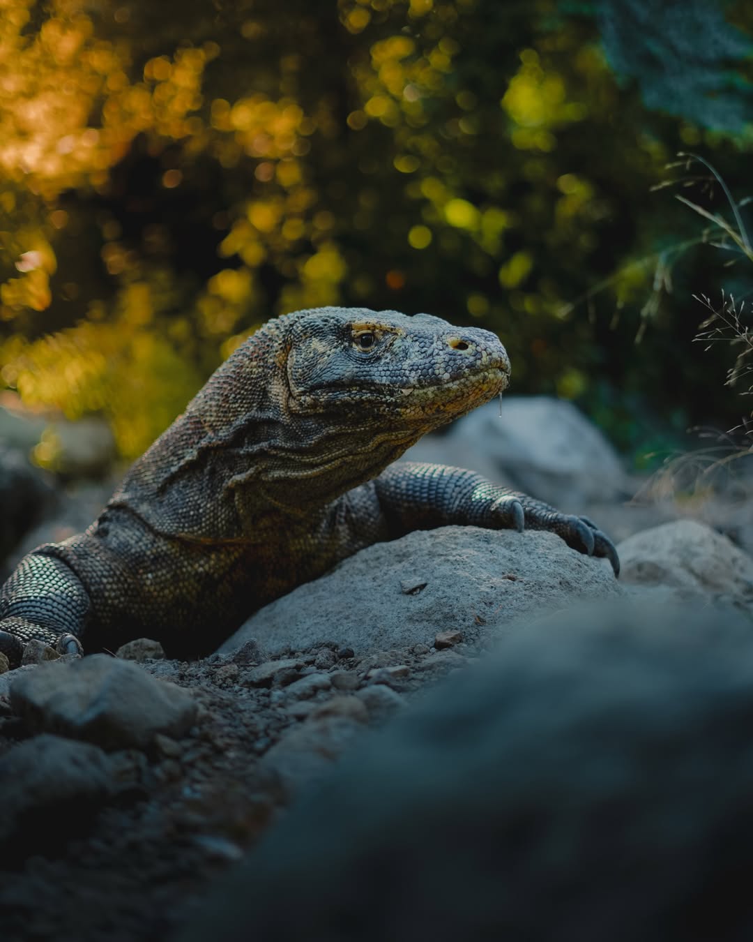 Komodo Trip Without Overpacking Your Itinerary