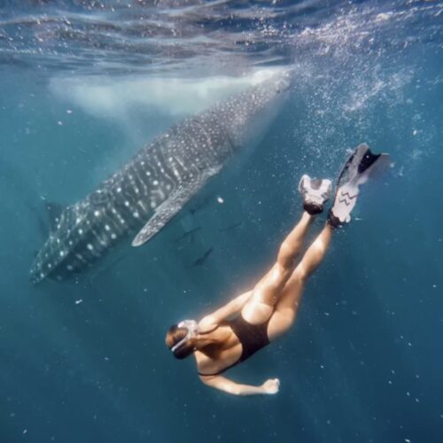 Komodo > Lombok Sailing Adventure 4D3N | LADY GRACE