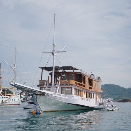 3D2N Komodo Sailing | A Fun and Affordable Komodo Sailing Experience  | FORTUNA |