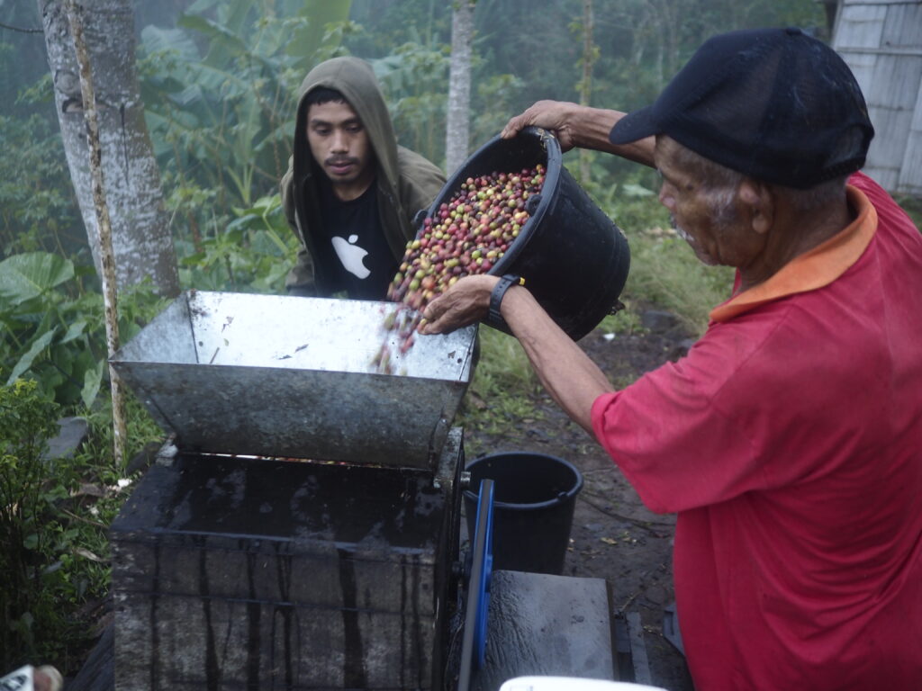 Flores Coffee