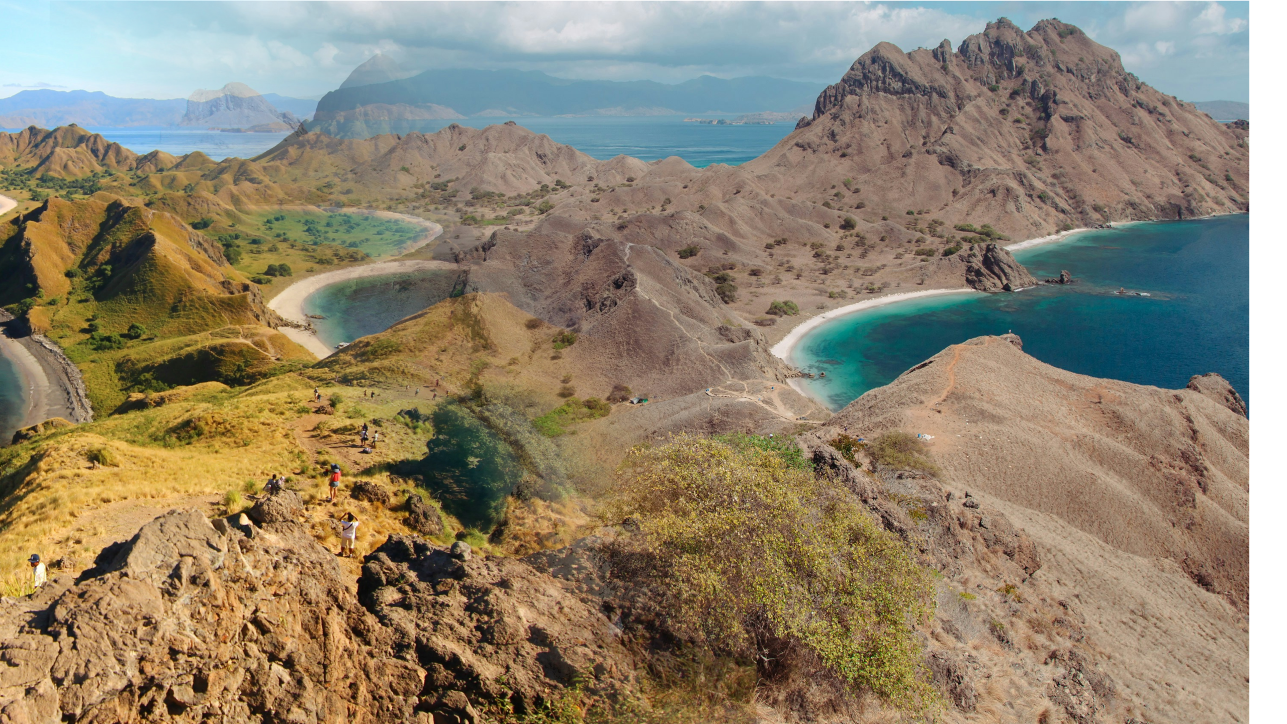 Komodo Season