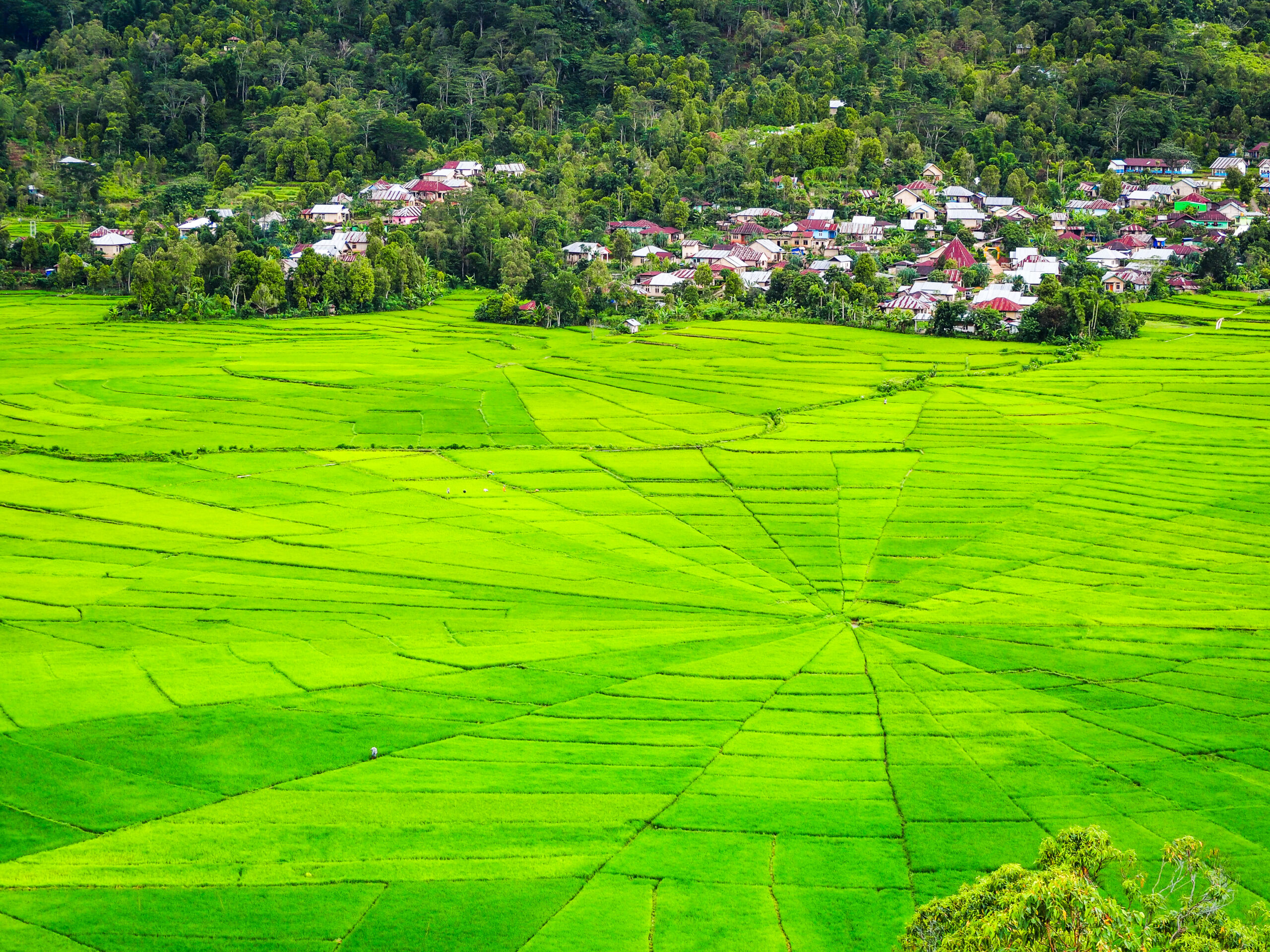 Ruteng Highland
