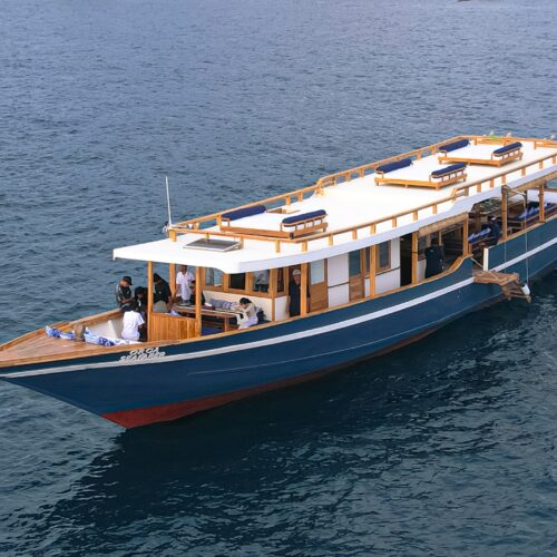 Komodo Day Trip Adventure with Premium Wooden Open-Deck Boat | Orca