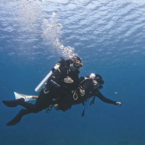Scuba Diving in Komodo for Beginners | Try Scuba | No Certification Needed | PAPITON DIVE