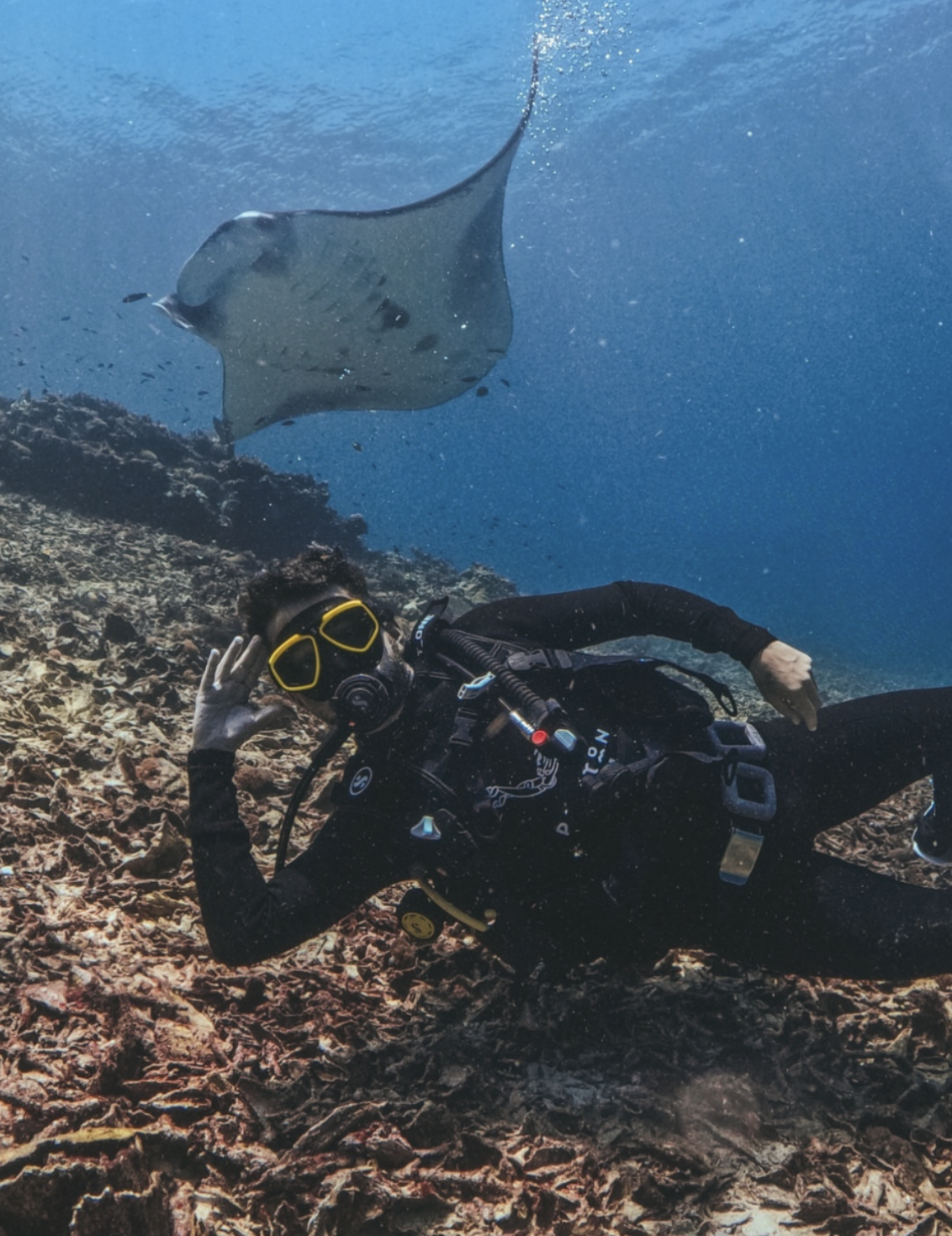 Indonesia Diving