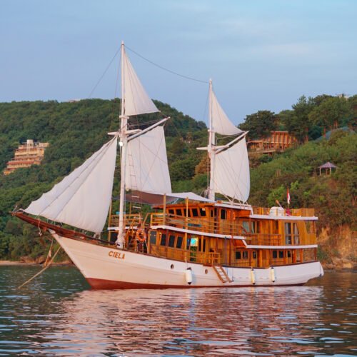 Komodo Shared Voyage 3D2N | Ciela Liveaboard Phinisi