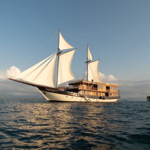 Luxury Komodo Shared Voyage 3D2N | Papiton Fleet’s Newest Phinisi | Special Itinerary | Papiton Allo