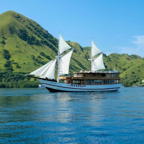 3D2N Komodo Sailing | Komodo Dragon Encounter | Island Hopping Adventure | RAFFLES