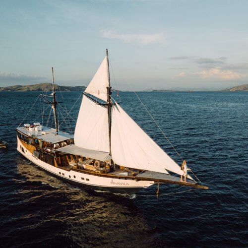 Komodo Sailing Adventure | Luxury Phinisi Experience | NAVILA LIVEABOARD]